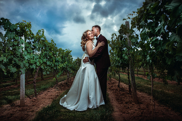 Vineyard Wedding